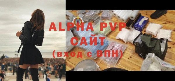 спайс Богданович