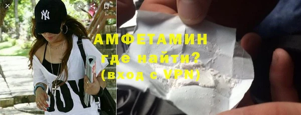 спайс Богданович
