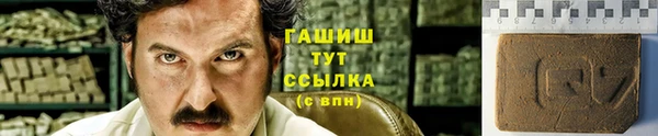 PSILOCYBIN Богородицк