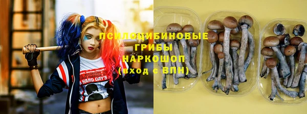спайс Богданович