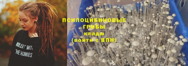 спайс Богданович