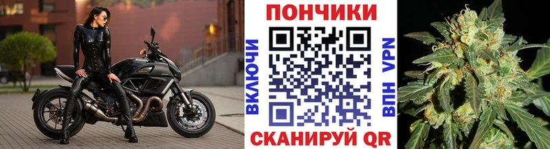Бошки Шишки Ganja  Пестово 
